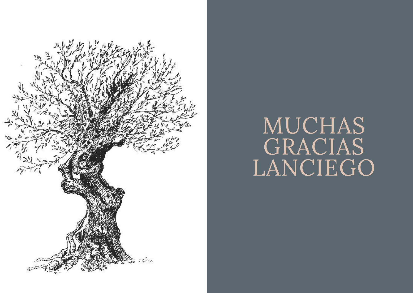 Muchas Gracias Lanciego